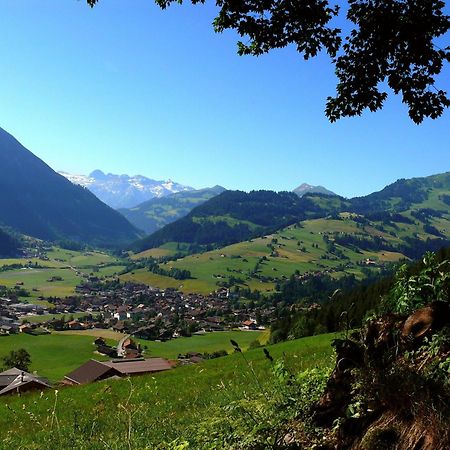 Sonnegg Hotel Zweisimmen Eksteriør billede