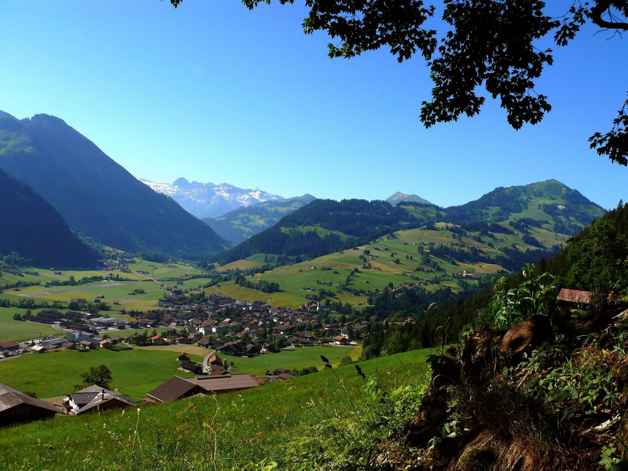 Sonnegg Hotel Zweisimmen Eksteriør billede
