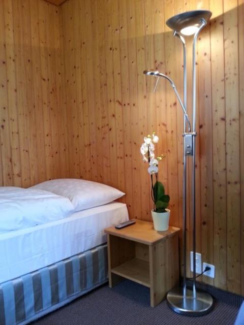 Sonnegg Hotel Zweisimmen Eksteriør billede